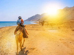 Pictures of Sharm El-Sheikh, an Egyptian tourist and coastal city with beaches, coral reefs and many tourist trips